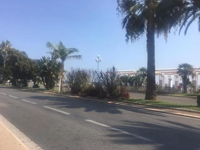 Appartement Studio Et Ses Deux Piscines Nice France