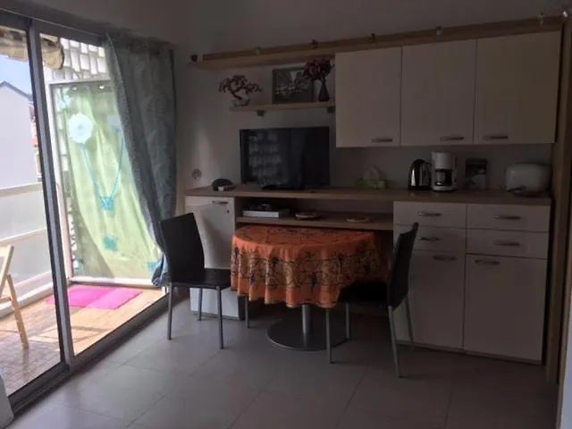 Appartement Studio Et Ses Deux Piscines Nice