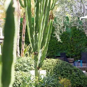Mercure Centre Notre Dame Otel
